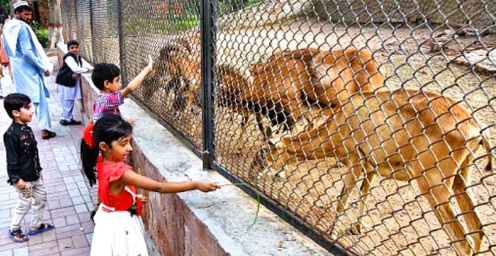 Lahore Zoo