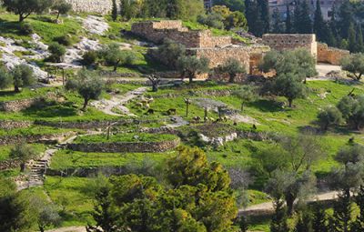 Nazareth Village