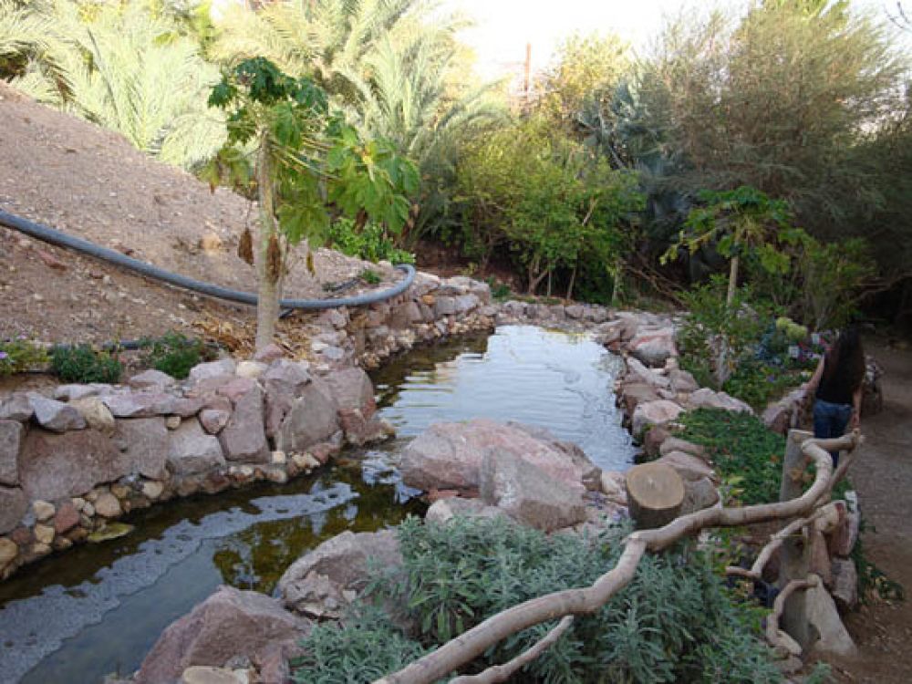 Eilat Botanical Garden