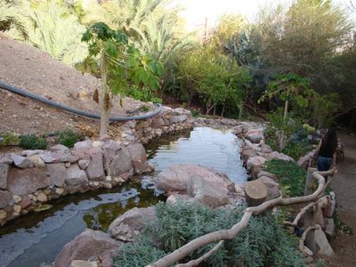 Eilat Botanical Garden