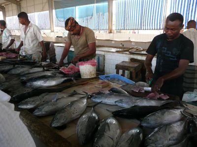 Fish Market