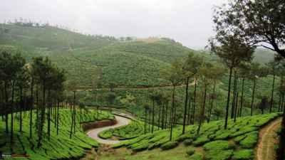 Munnar Romantic Tree House With Houseboat