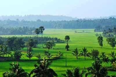 Munnar Romantic Tree House With Houseboat