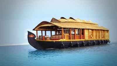 Munnar Romantic Tree House With Houseboat