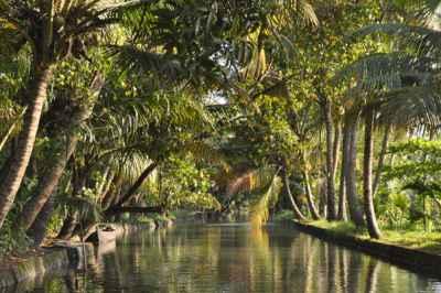 Munnar Romantic Tree House With Houseboat