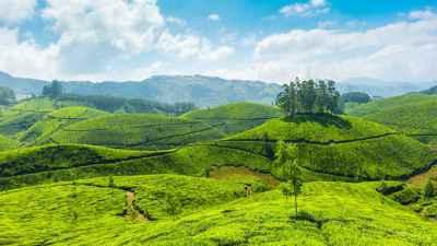 Munnar Romantic Tree House With Houseboat