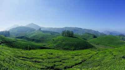 Munnar Romantic Tree House With Houseboat