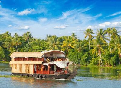 Munnar Romantic Tree House With Houseboat