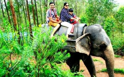 Munnar Romantic Tree House With Houseboat