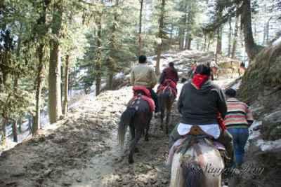 3 Nights 4 Days Shimla tour packages