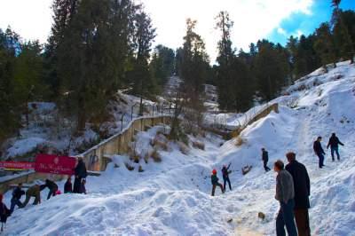 3N/4D Shimla Holiday Package